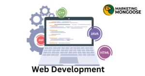 Web development